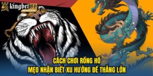 cách chơi rồng hổ