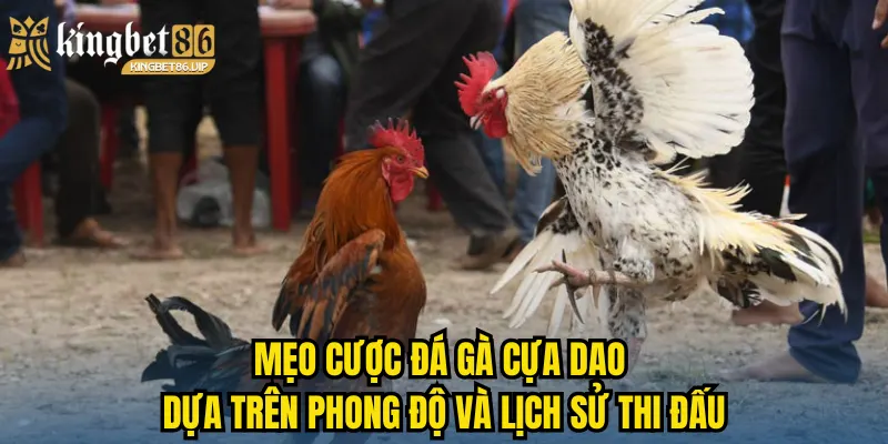 Mẹo cược đá gà cựa dao dựa trên phong độ và lịch sử thi đấu