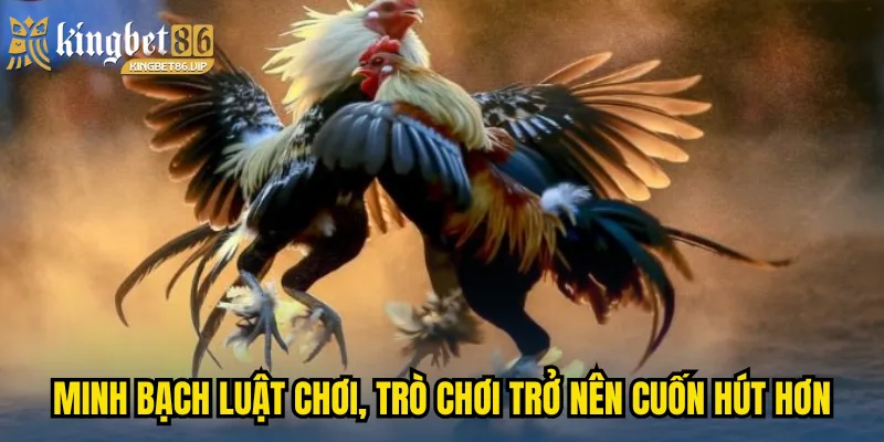 Minh bạch luật chơi, trò chơi trở nên cuốn hút hơn