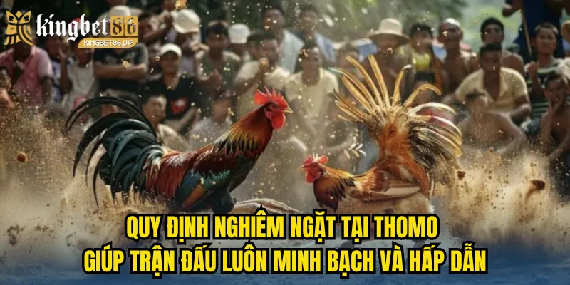 Quy định nghiêm ngặt tại Thomo giúp trận đấu luôn minh bạch và hấp dẫn