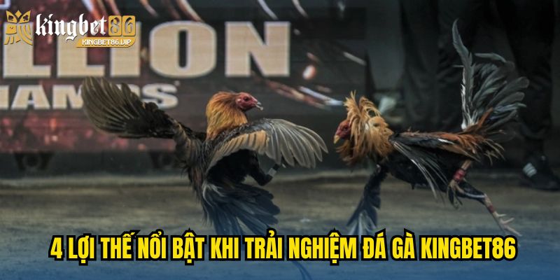4 lợi thế nổi bật khi trải nghiệm đá gà KINGBET86