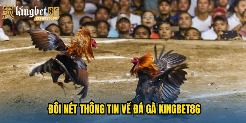 Đôi nét thông tin về đá gà KINGBET86