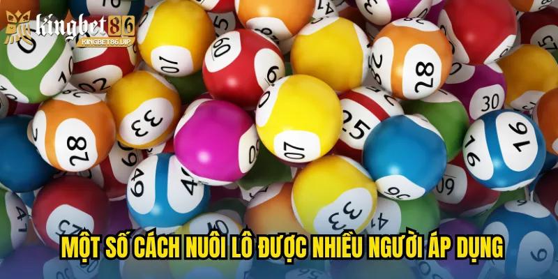 Nuôi Lô Khung Kingbet86 - Mẹo Nhỏ Nhưng Mang Hiệu Quả Lớn 3 Một số cách nuôi lô được nhiều người áp dụng