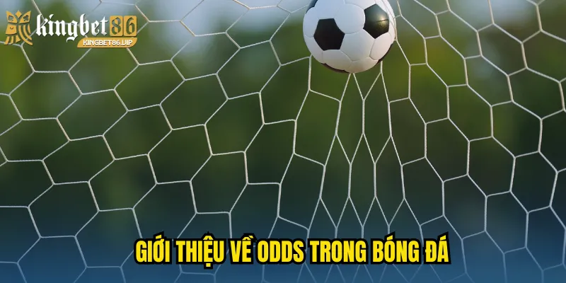 Giới thiệu về Odds trong bóng đá 
