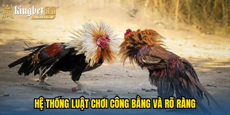 Hệ thống luật chơi công bằng và rõ ràng